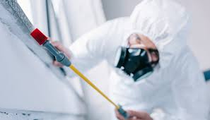 Best Residential Pest Control  in Six Mile Run, NJ